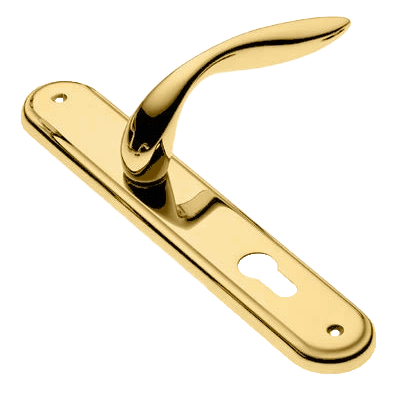 Ручка дверная на планке LEON PL OTL, цвет золото, латунь фото купить в Севастополе